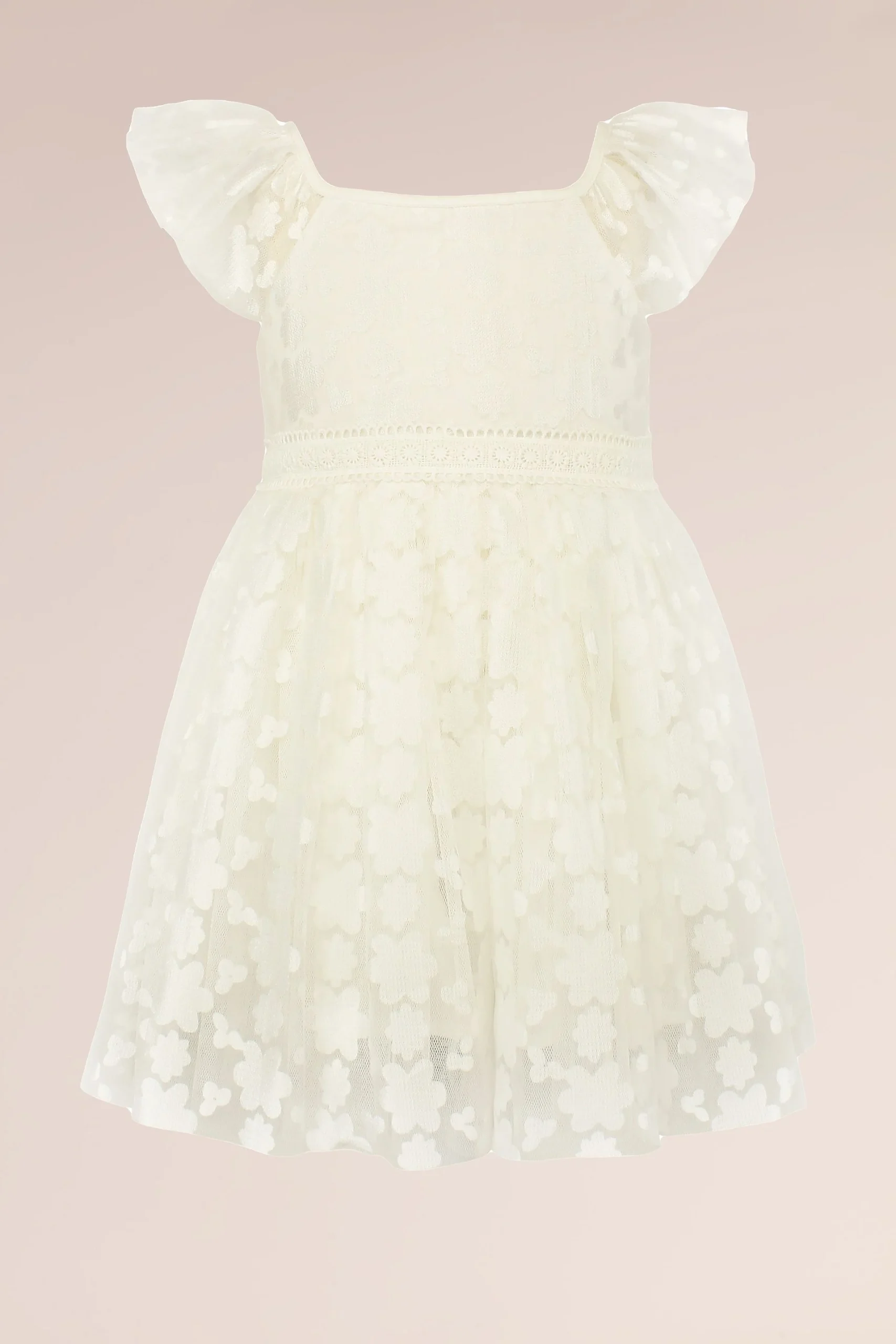 Cap Sleeve Lace Overlay Princess Flower Girl Dress