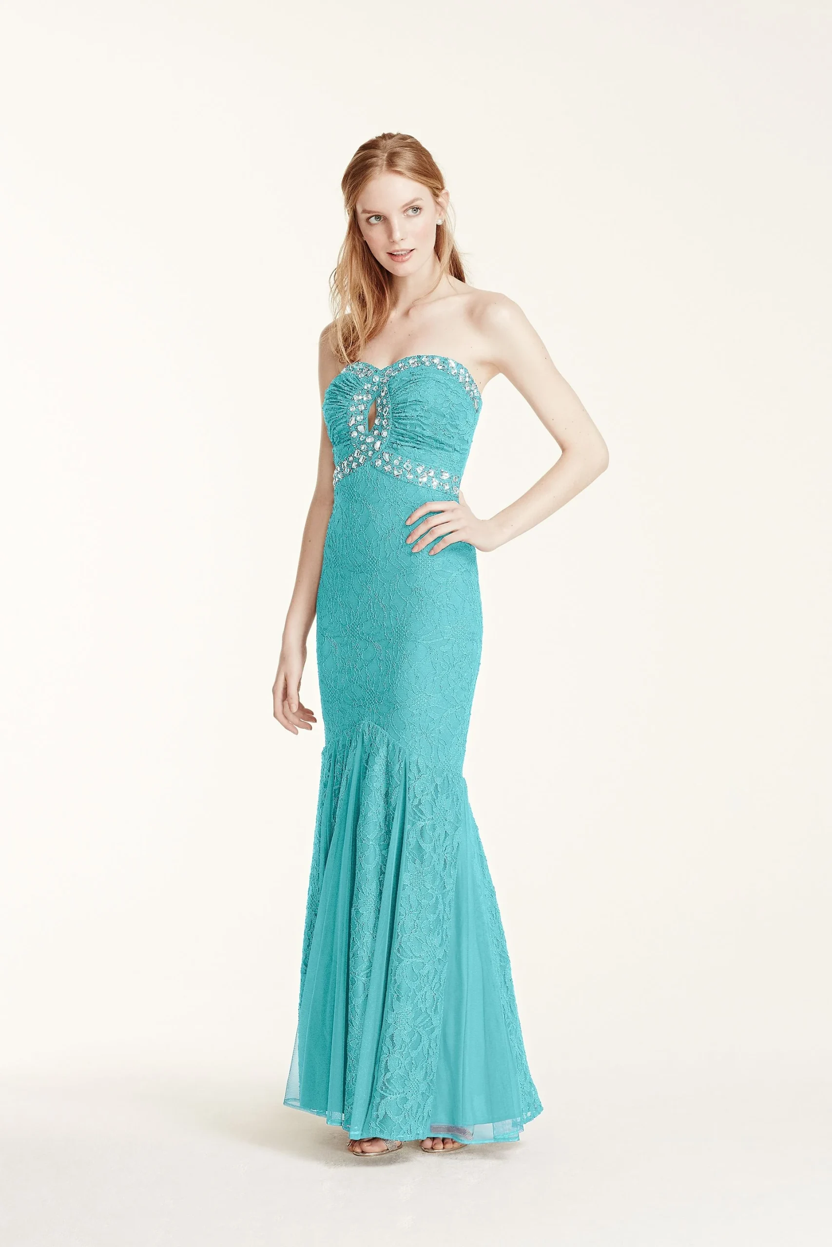 Crystal Embellished Lace Fit and Flare Dress