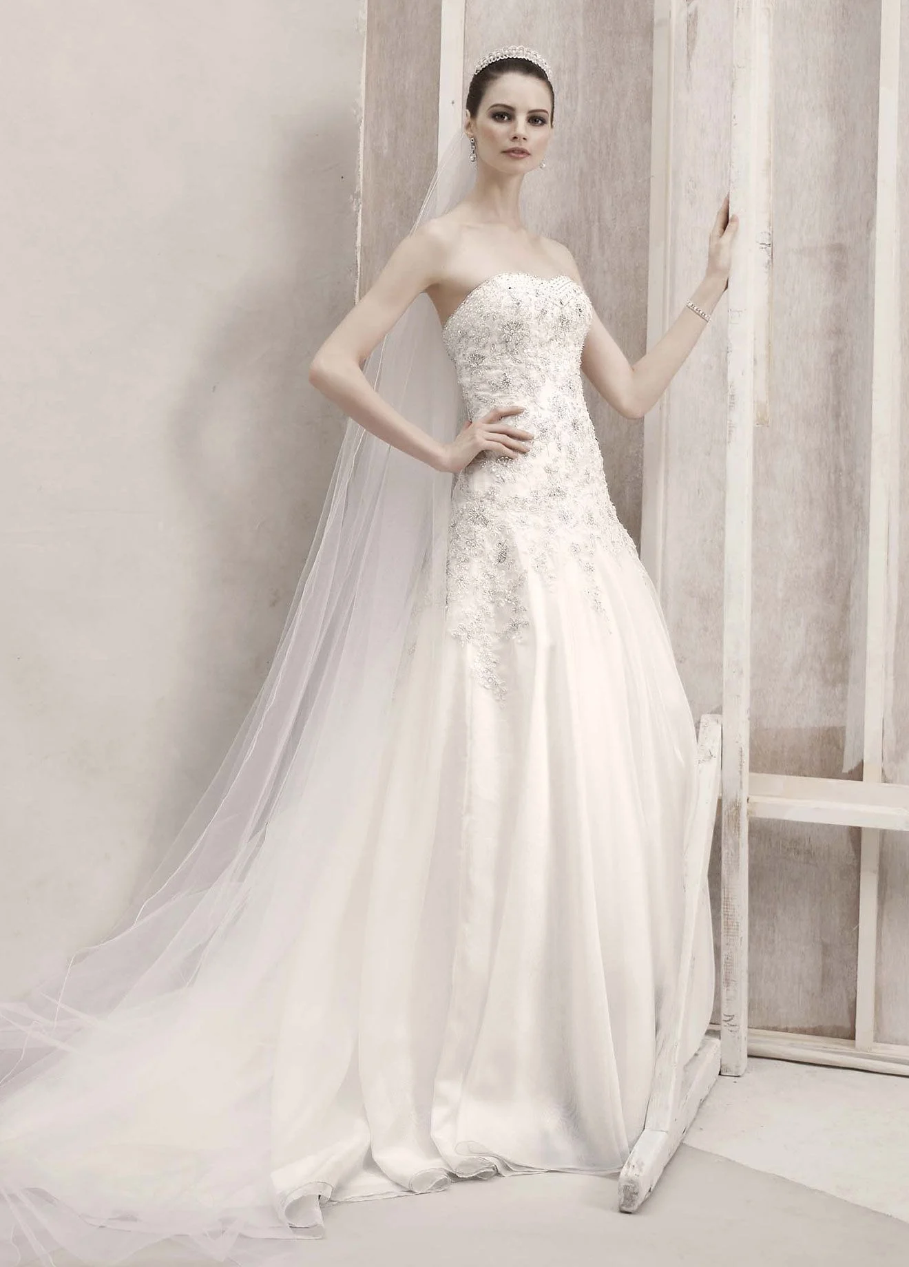 Strapless Drop Waist Organza A-Line Gown