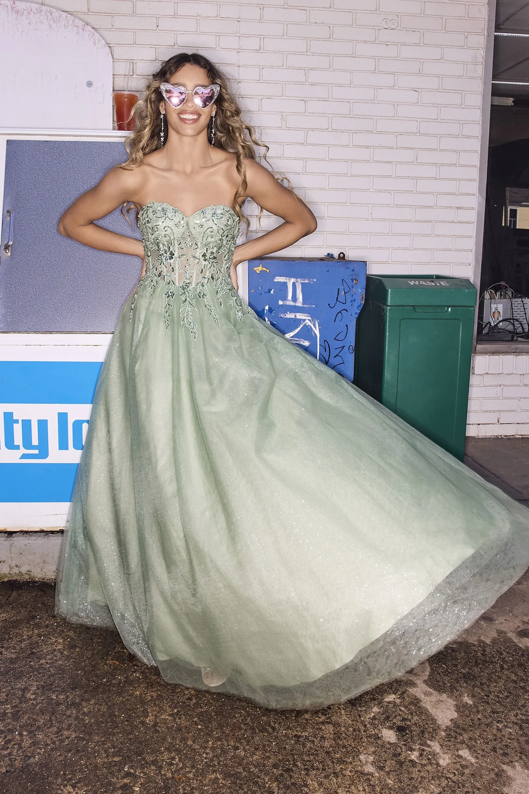 Glitter Tulle Ball Gown Bodice Appliques