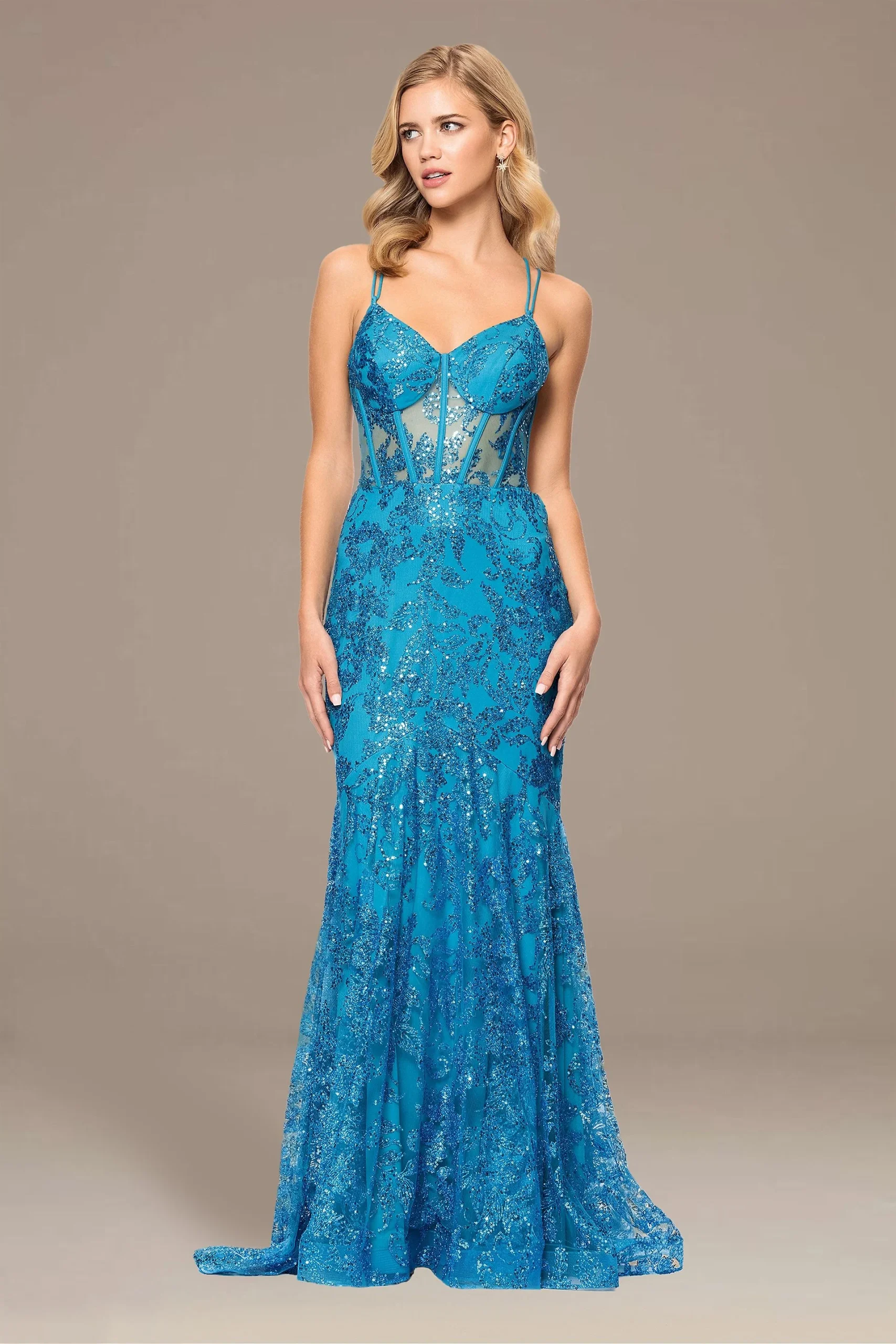 Illusion Bodice Mermaid Dress