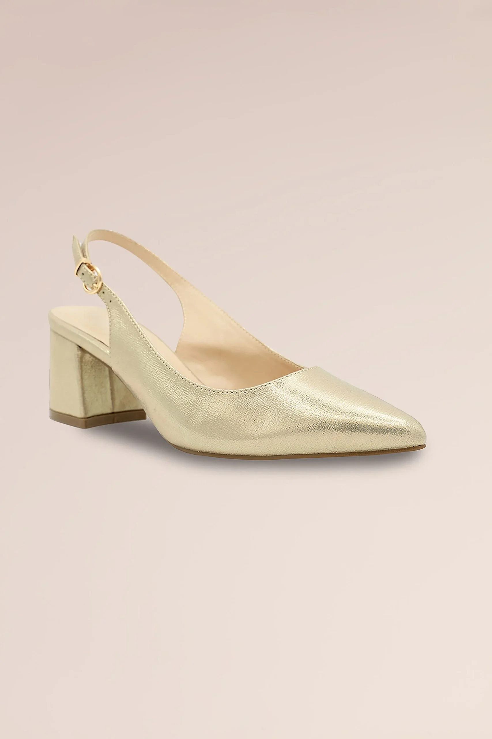 Imelda Shimmer Slingback Block Heels