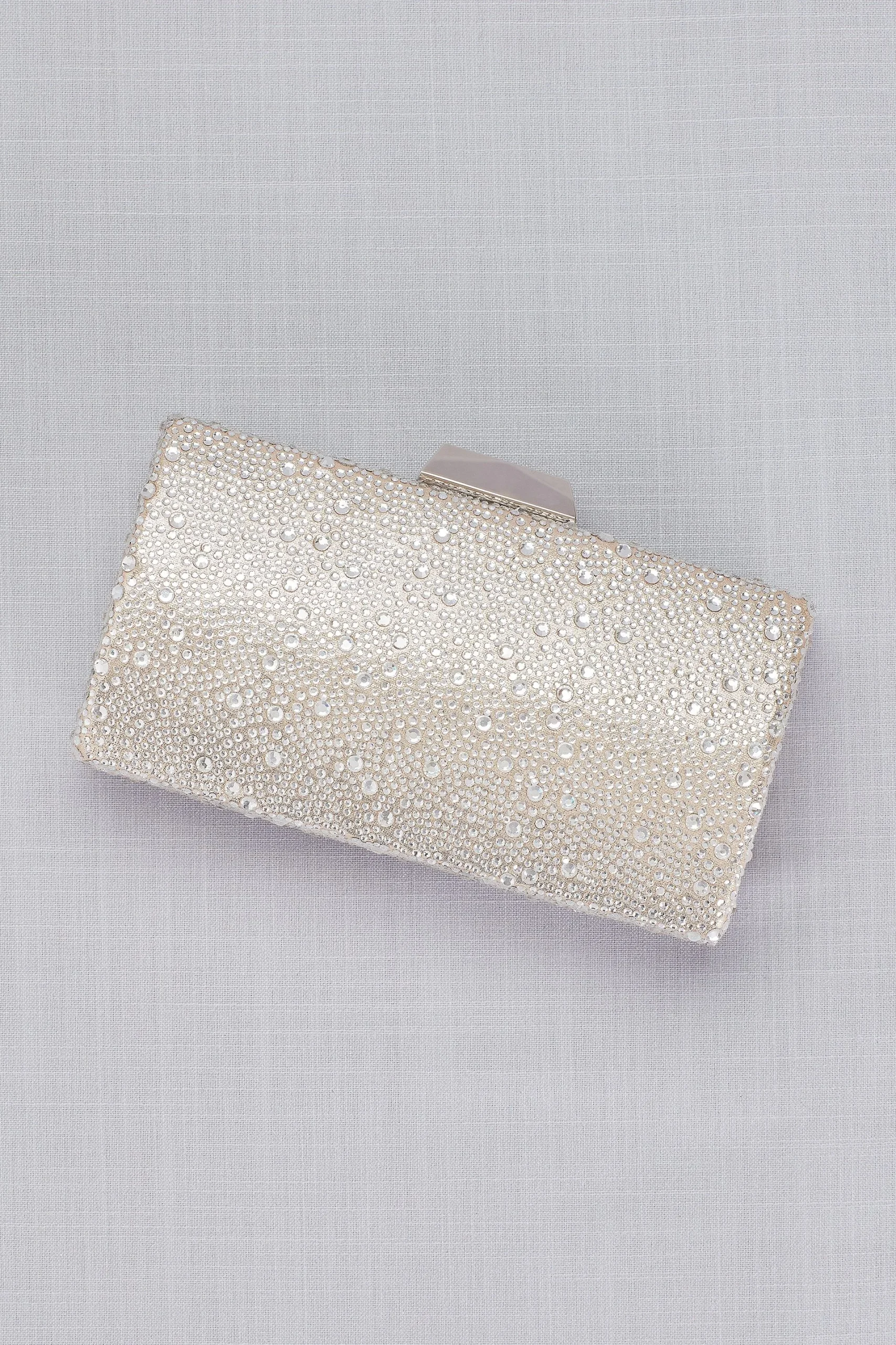 La Regale Crystal Hard-Sided Clutch