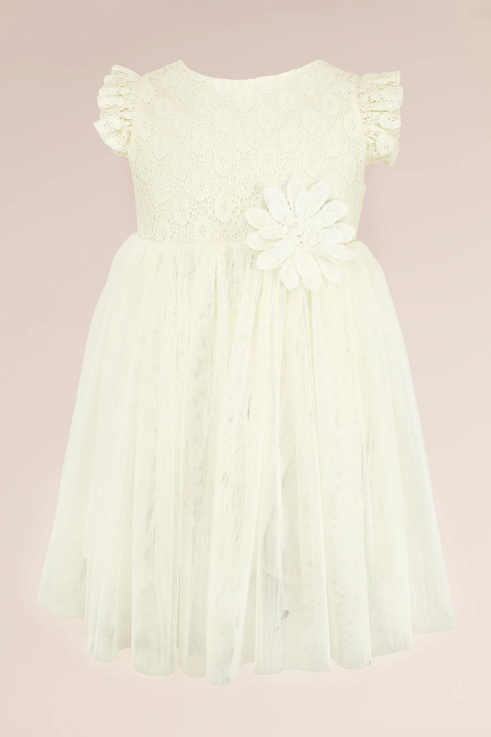 Lace Tulle Flower Girl Dress with Flutter Sleeves