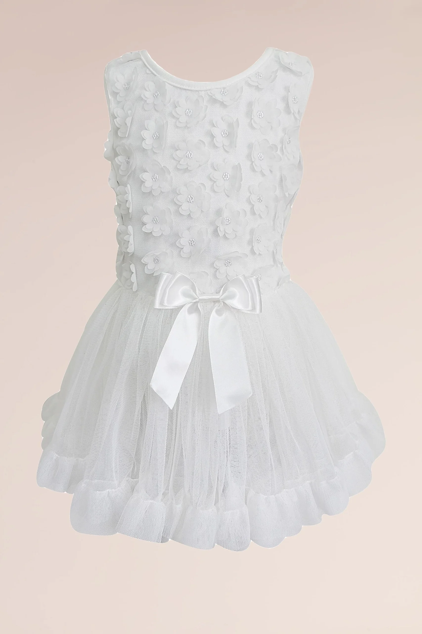 A-Line Daisy Applique Flower Girl Dress