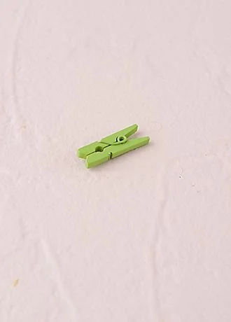 Mini Wooden Clips Set of 24
