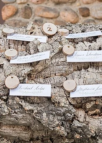 Miniature Natural Birch Wood Circles Pack of 40