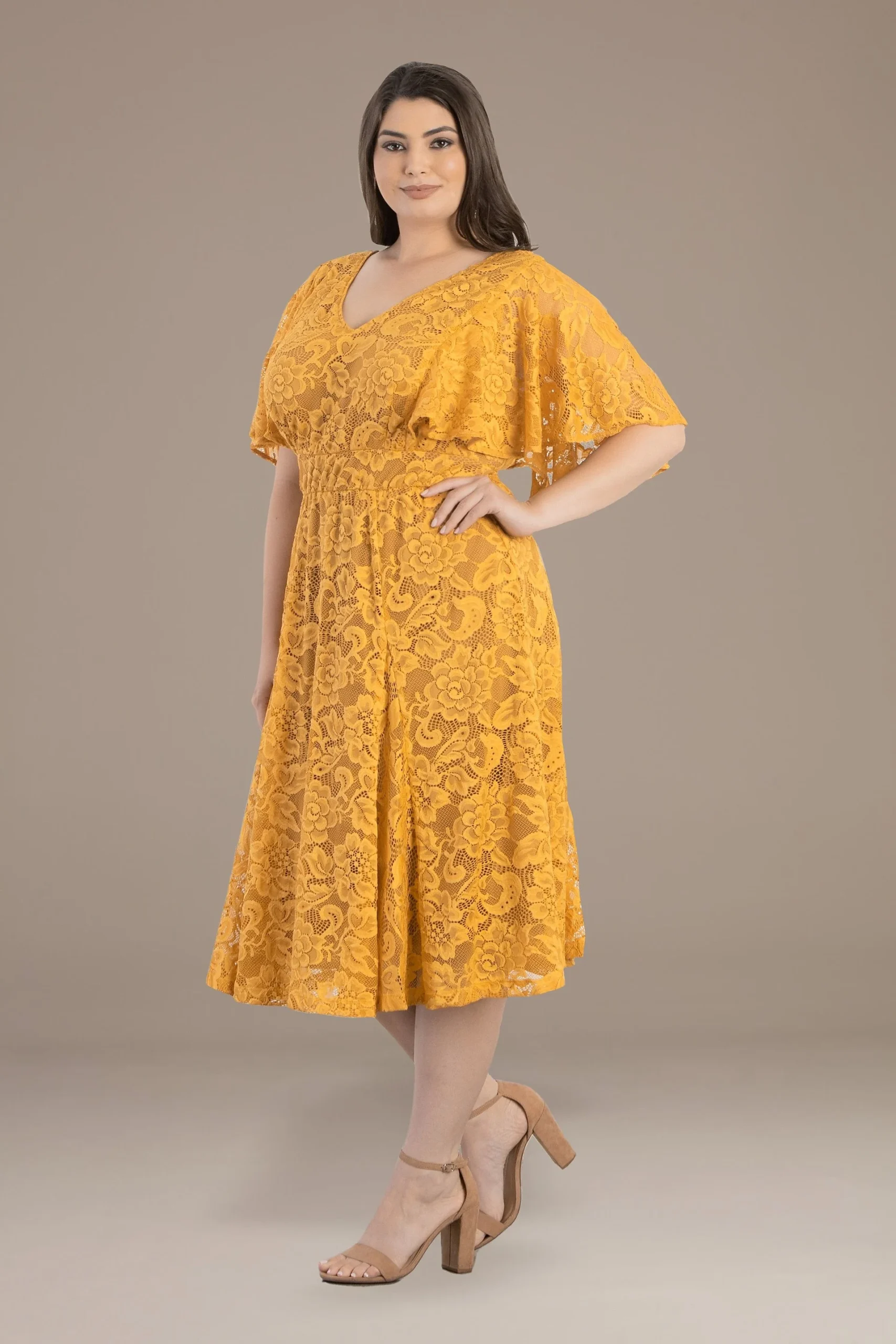 Plus Size Camille Lace A-Line Dress
