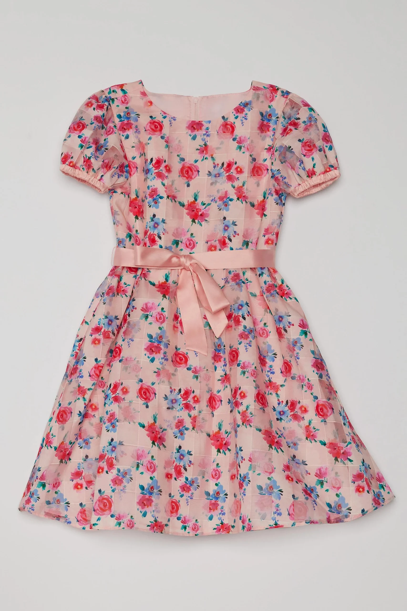 Puff Sleeve Printed Toddler Girls Dress