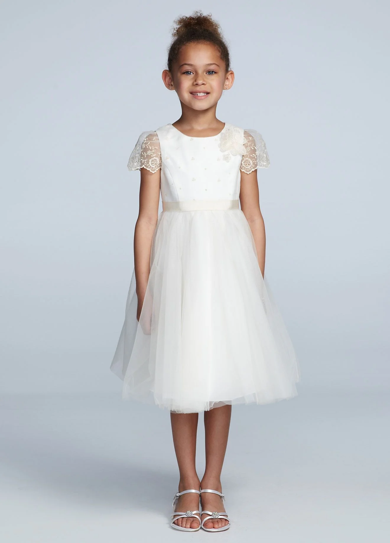 Short Sleeve Tulle Dress with Embroidered Detail