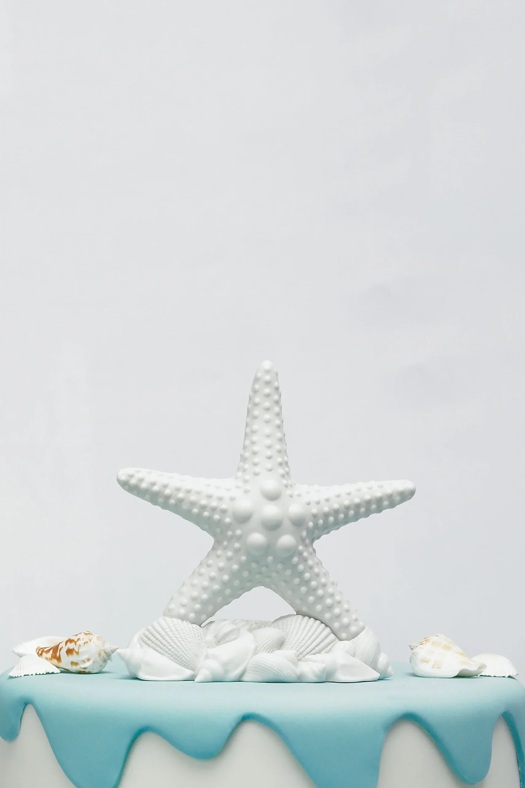 Starfish Cake Topper