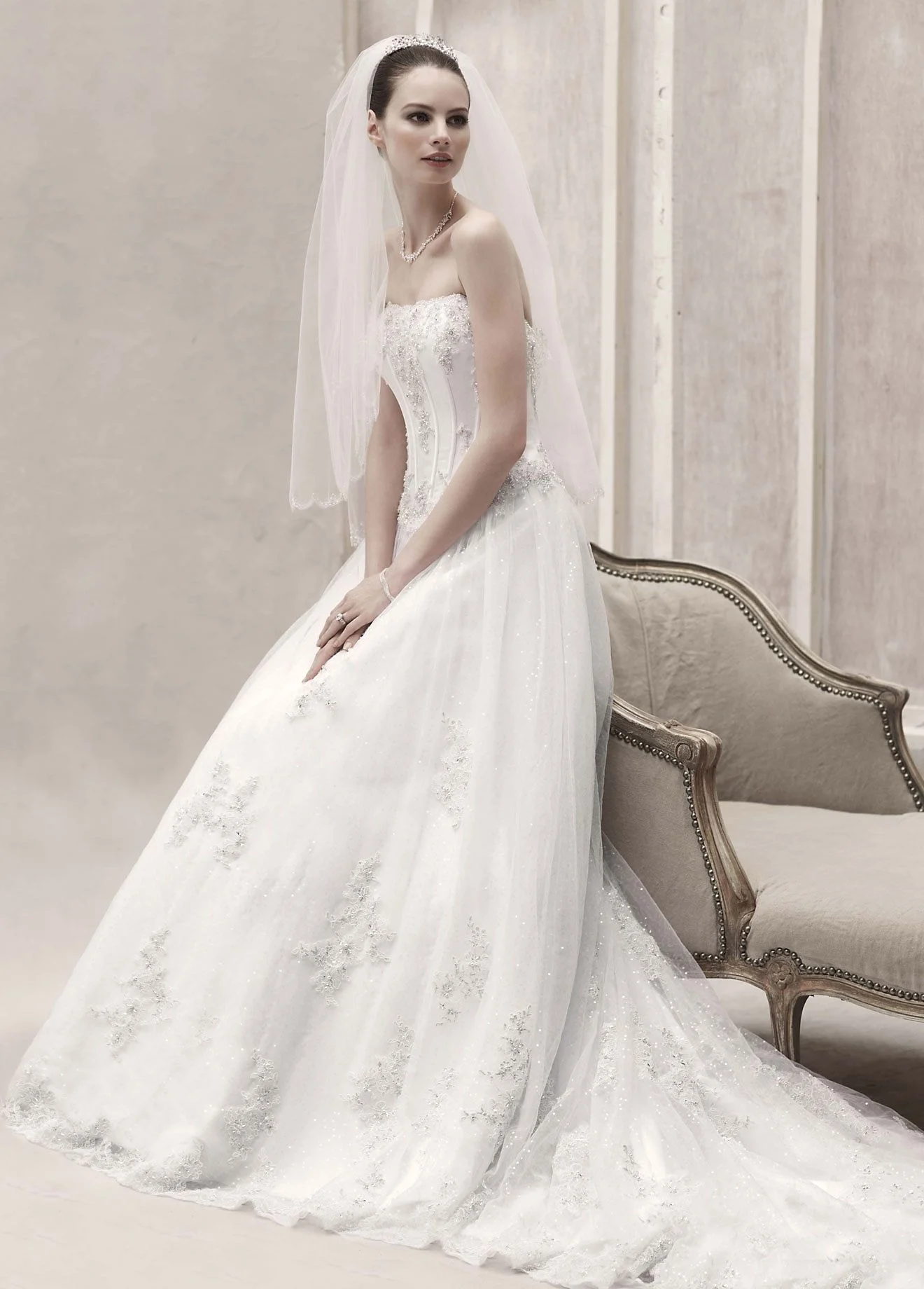 Strapless Organza Ball Gown with Lace Appliques