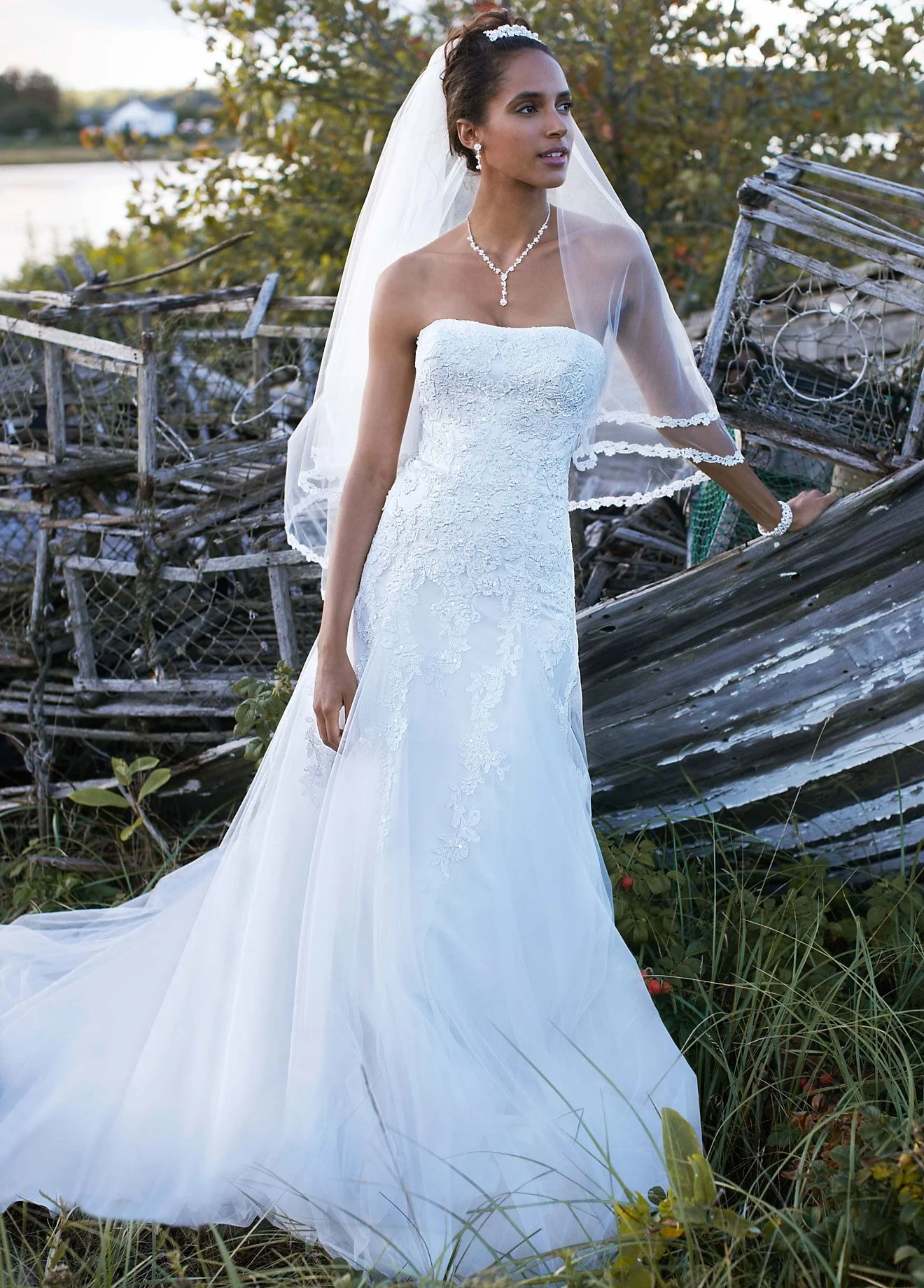 Strapless Tulle A-line Gown with Beaded Appliques