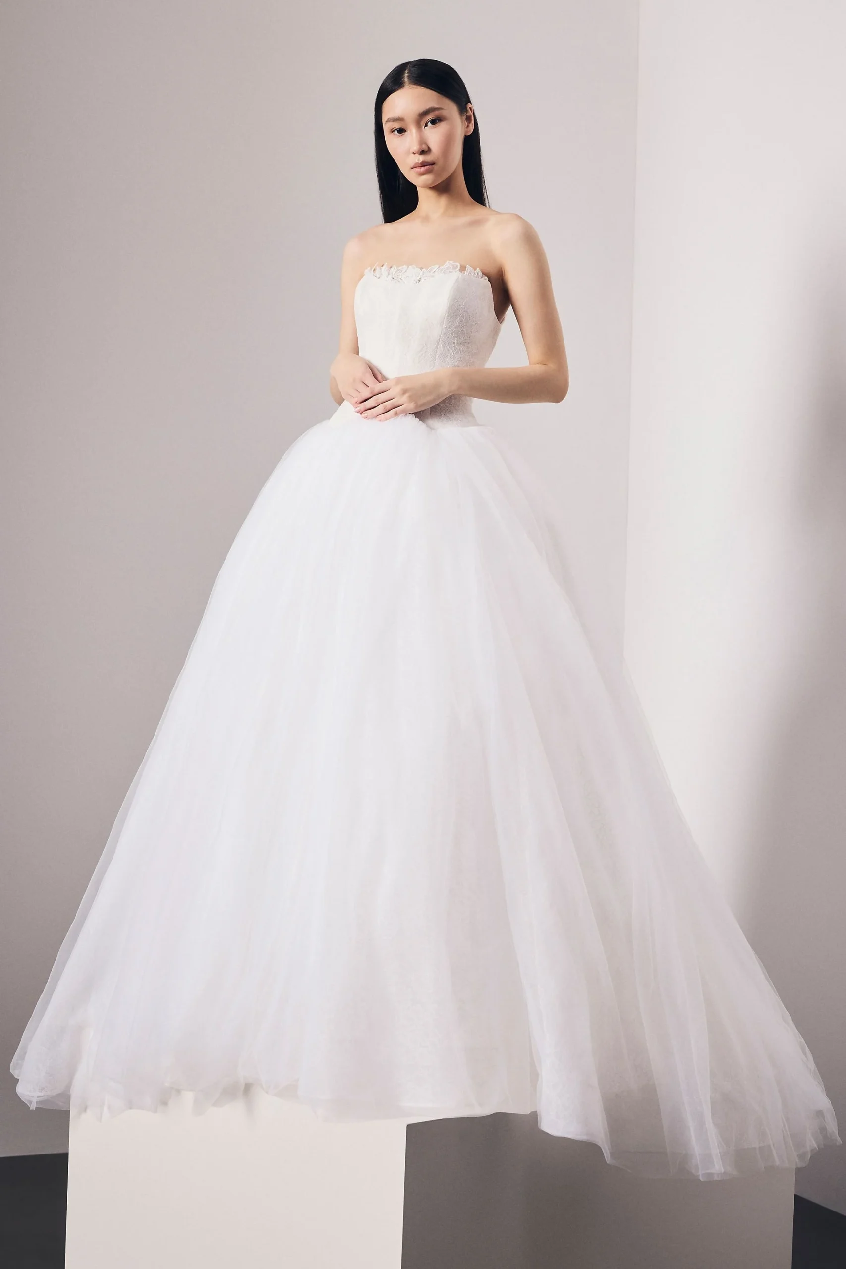 Veiled Lace Ball Gown with Inverted Basque Waist